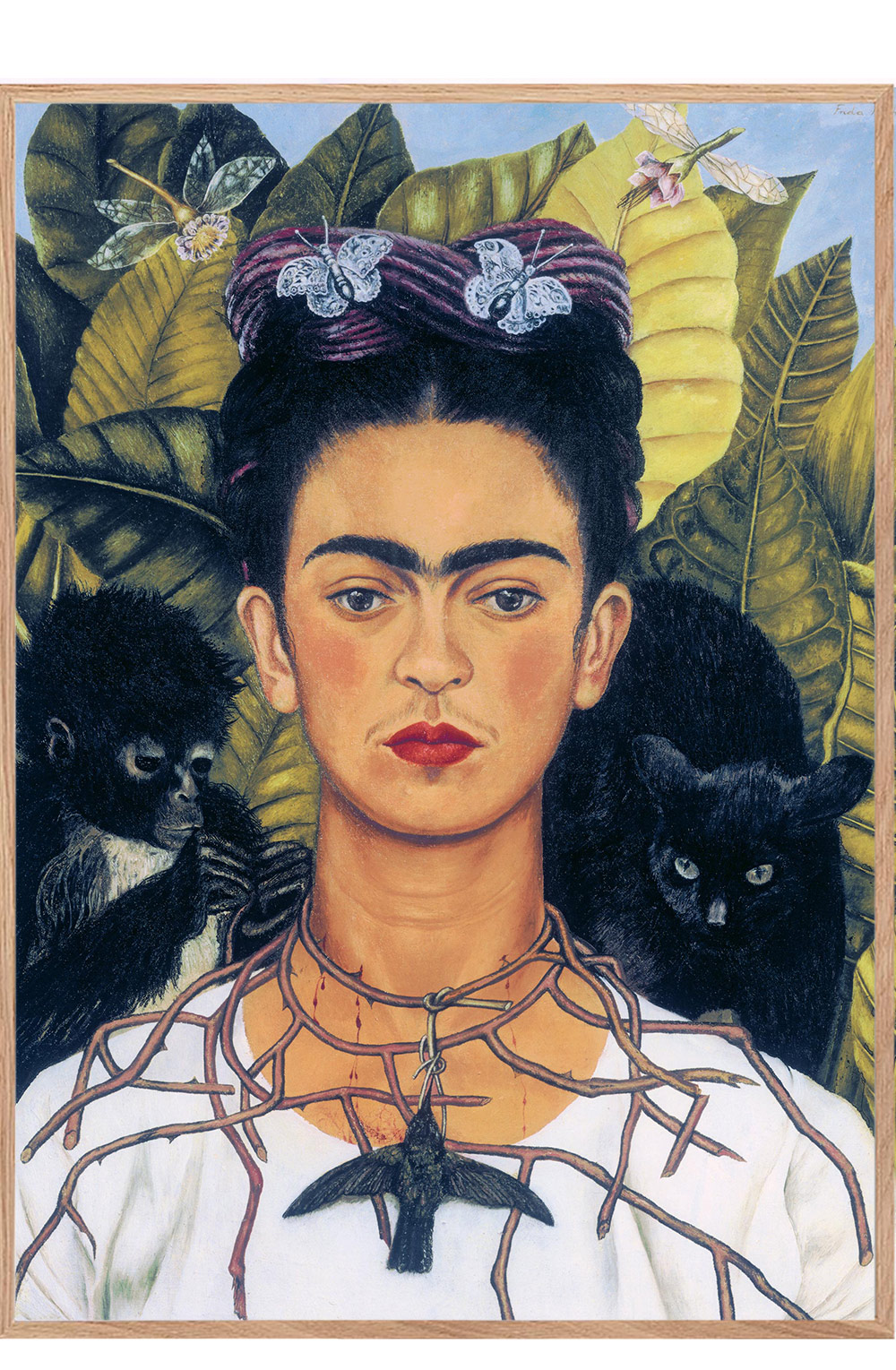 Life in Full Bloom: Frida Kahlo and Her Garden - Biography